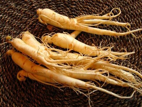 ginseng erroa potentzia handitzeko 60 ondoren