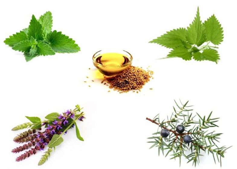 Menda, nettle, ezkaia, ipar-olioa eta linseed olioa