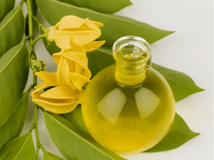 Potentzia hobetzeko aromaterapia
